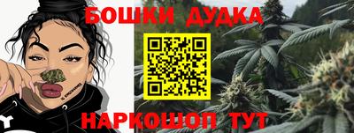 СК Новодвинск