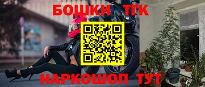 СК Новодвинск