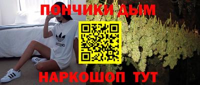 СК Новодвинск