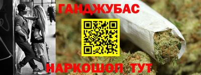 СК Новодвинск