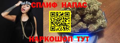 СК Новодвинск