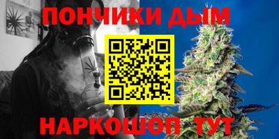 СК Новодвинск