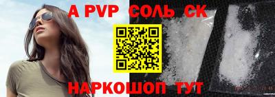СК Новодвинск