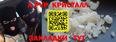 СК Новодвинск