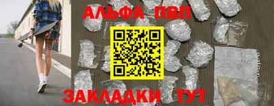 СК Новодвинск