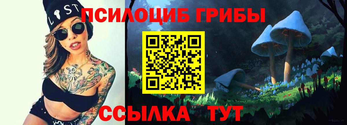 Трёхгорный  Псилоцибиновые грибы MAGIC MUSHROOMS  Вход с VPN 